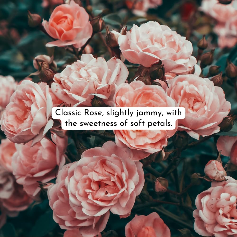 Rose Oil Rollerball (Roll On) Perfume 10 ml | Traditional English Tea Rose Perfume for Women - Image 2